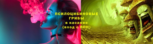 эйфоретик Алзамай