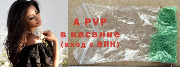 СК Арсеньев
