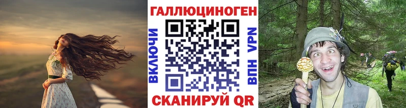 Галлюциногенные грибы Cubensis  Купить где  Верхнеуральск 